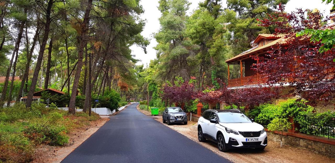 Wood And Stone Villa Sani  Exterior foto